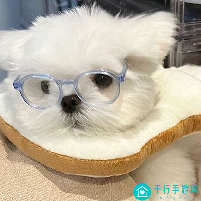 修仙家族模拟器：捡垃圾流纯挂机注意事项全攻略