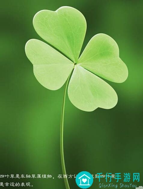 四叶草剧场世界树自爆流玩法大升级！极速速刷攻略全解析，让你秒变刷怪达人！