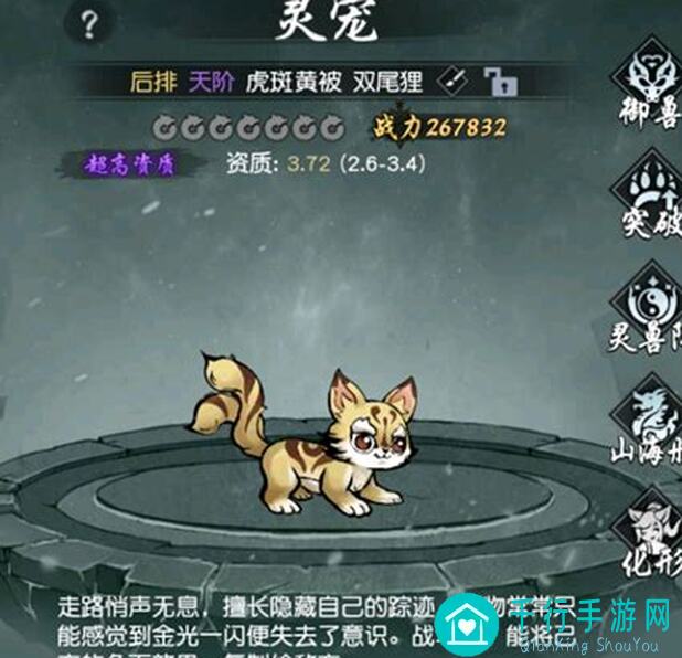 秒懂碧海苍云！灵兽系统养宠攻略，轻松提升战力带你飞