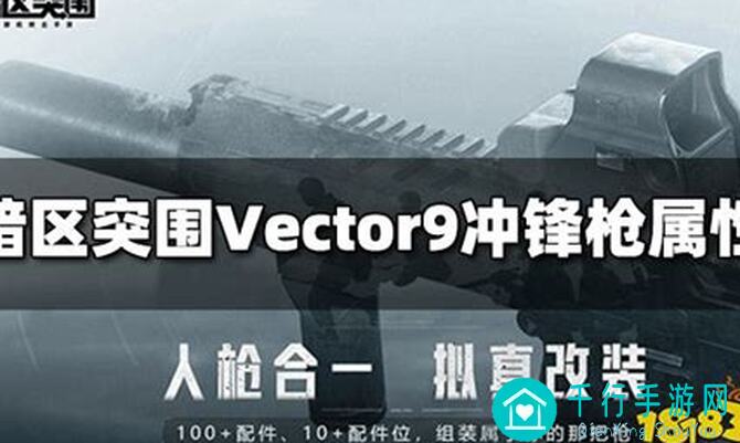 Vector9到底怎么改？暗区突围老玩家实战解析