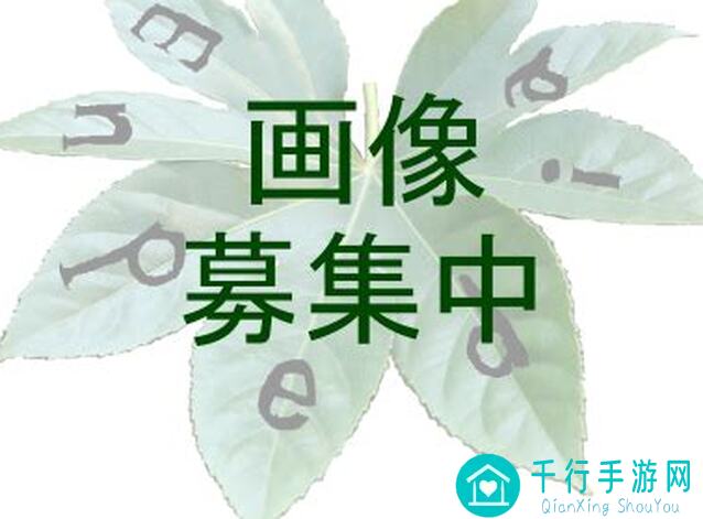 三国战纪公孙瓒试炼活动，兑换攻略来了！这12个道具，你选对了吗？