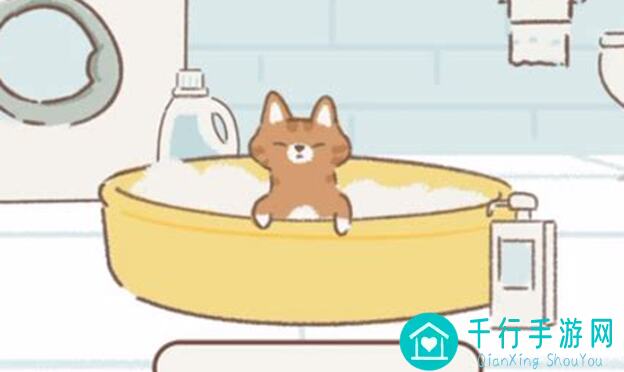 遇见你的猫触发攻略：轻松解锁猫咪们的神秘任务！