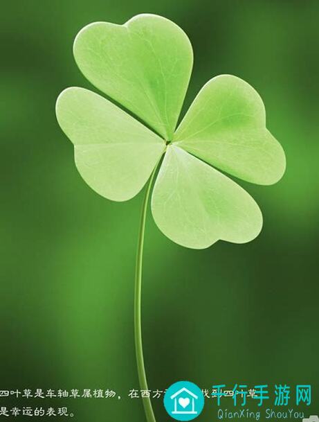 四叶草剧场白猫三神装搭配攻略：白狐狸输出奇效玩转加惟璃