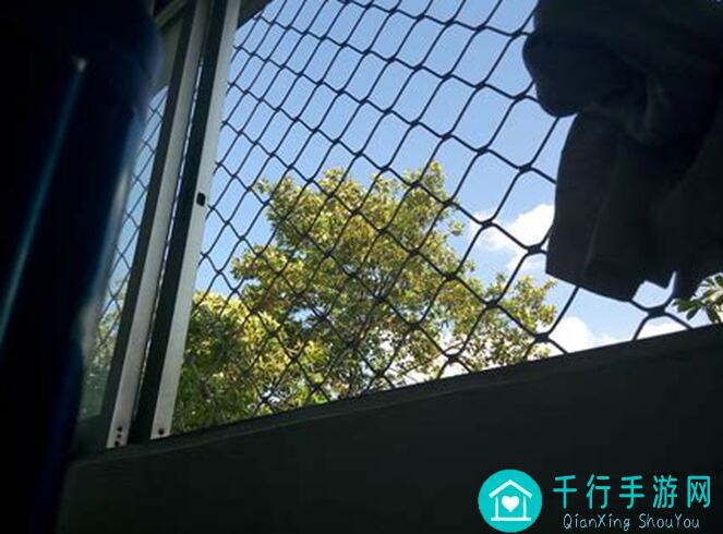 萌新入坑托拉姆物语不氪金不乞讨?首推这个职业!