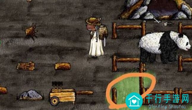 华夏人生熊洞排排站：带你解锁通关秘籍！